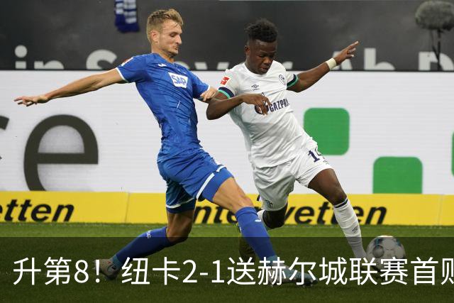 升第8！纽卡2-1送赫尔城联赛首败 巴恩斯2助攻威洛克闪击霍尔破门